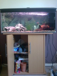 Stunning 3.5ft Full set up Aquarium