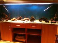 Rena Aquarium Fish Tank - Full Set Up