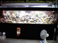 Tropicals And Marines Shop