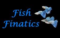 Fish Finatics Aquatic Centre, W Lancs - Current Fish Stock available