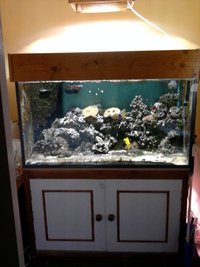 Complete Marine Setup