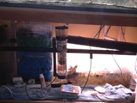 Complete Marine Setup