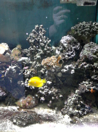 Complete Marine Setup