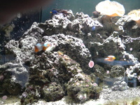 Complete Marine Setup