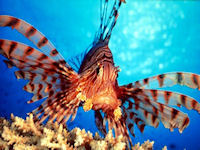 Northfield Aquatics Hull