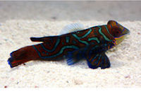 Northfield Aquatics Hull