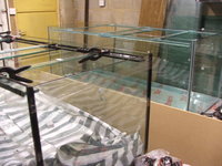 Poseidons Palace Standard Float Glass and Optiwhite Glass Aquariums