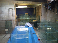 Poseidons Palace Standard Float Glass and Optiwhite Glass Aquariums