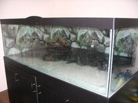 Poseidons Palace Standard Float Glass and Optiwhite Glass Aquariums