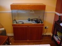 3ft Seashell Aquarium For Sale
