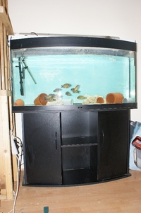 Juwel Vision 260 - £150 (SOLD PENDING PICK UP)