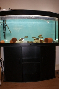 Juwel Vision 260 - £150 (SOLD PENDING PICK UP)