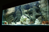 Stunning 4 10 inches Aquarium and Cabinet with A life Like Rock Background Filter