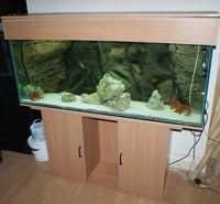 Stunning 4 10 inches Aquarium and Cabinet with A life Like Rock Background Filter