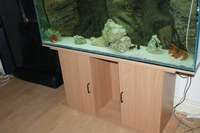 Stunning 4 10 inches Aquarium and Cabinet with A life Like Rock Background Filter