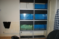 Rack of 6 x 2ftx1ftx1ft tanks on Aluminium Rack (SOLD)