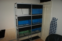 Rack of 6 x 2ftx1ftx1ft tanks on Aluminium Rack (SOLD)