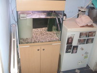 FOR SALE : 2FT SEABRAY CUBE TANK FULL SETUP WITH BEECH EFFECT STAND AND HOOD