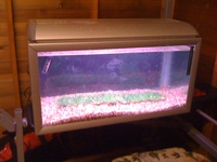 SOLDDDDD ---- LOVELY FISH TANK FOR SALE - COLD AND TROPICAL