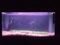 SOLDDDDD ---- LOVELY FISH TANK FOR SALE - COLD AND TROPICAL