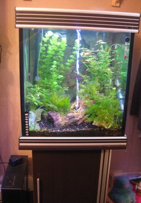 AQUA ONE CUBE TANK MARINE OR TROPICAL FULL COMPLETE SETUP