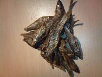 FISH FOR FISH stock up now.