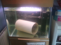 FOR SALE : 2FT SEABRAY CUBE TANK FULL SETUP WITH BEECH EFFECT STAND AND HOOD