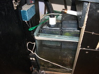 Full Marine Setup 5x2x2 bow fronted juwel vision 450 and sump