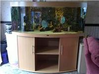 for sale stunning juwel vision 450 with internal background very expensive