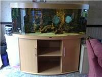 for sale stunning juwel vision 450 with internal background very expensive