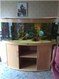 for sale stunning juwel vision 450 with internal background very expensive