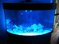 Aqua One Bow Front Fish Tank