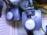 Tank 40 x 24 x17 ins and all the gear ONLY £200