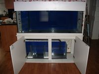 Godiva 60x24x18 - Wirral