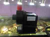 Red Dragon Pump 12 m3. £600.