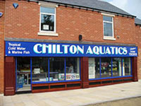 CHILTON AQUATICS. WE ARE THE AQUATIC SPECIALISTS. LARGEST RANGE OF FISH AND AQUATIC GOODS IN THE NORTH OF ENGLAND. BEST QUALITY AND BEST PRICES