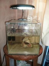 15 Litre Cube Aquarium £25