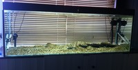complete 6ftx2ftx2ft set up