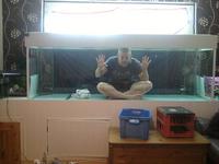 8 foot Fish tank with 2 sumps lid lights pumps loads of stuff