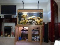 large marine aquarium with sump tank