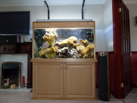 large marine aquarium with sump tank