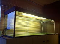 6ftx2ftx2ft Fish Tank for sale