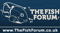 The Fish Forum - the friendly fish forum