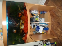 Juwel 350 Aquariam