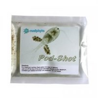 Live Copepods from £4.20