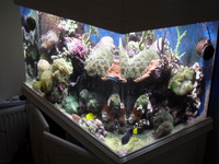 MARINE AQUARIUM AND EQUIPMENT AQUARIUM REDUCED£210NOW£170