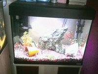 fluval roma 90