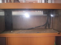 JUWEL RIO 180 AQUARIUM WITH STAND AND FULL SET UP