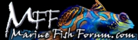 the UKs Premier Marine Fish & Reefkeeping Forum