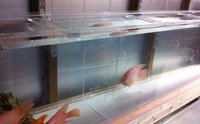 High Quality Acrylic Aquarium Dividers
